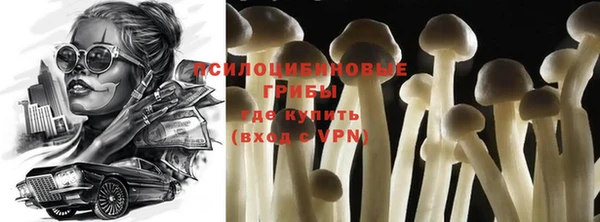 синтетический гашиш Алексин