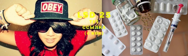 шишки Алзамай