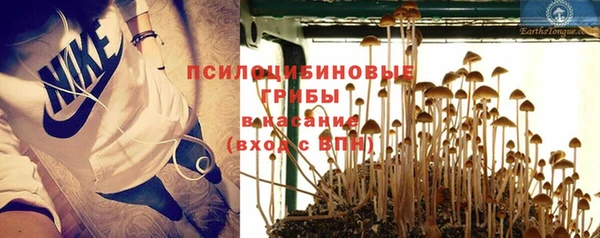 шишки Алзамай